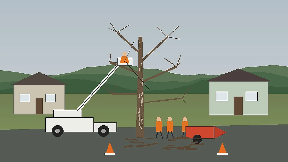 Tree service in Wilkes-Barre Pennsylvania Luzerne County Wyoming Valley EAB ash removal ice storm hazard Dave